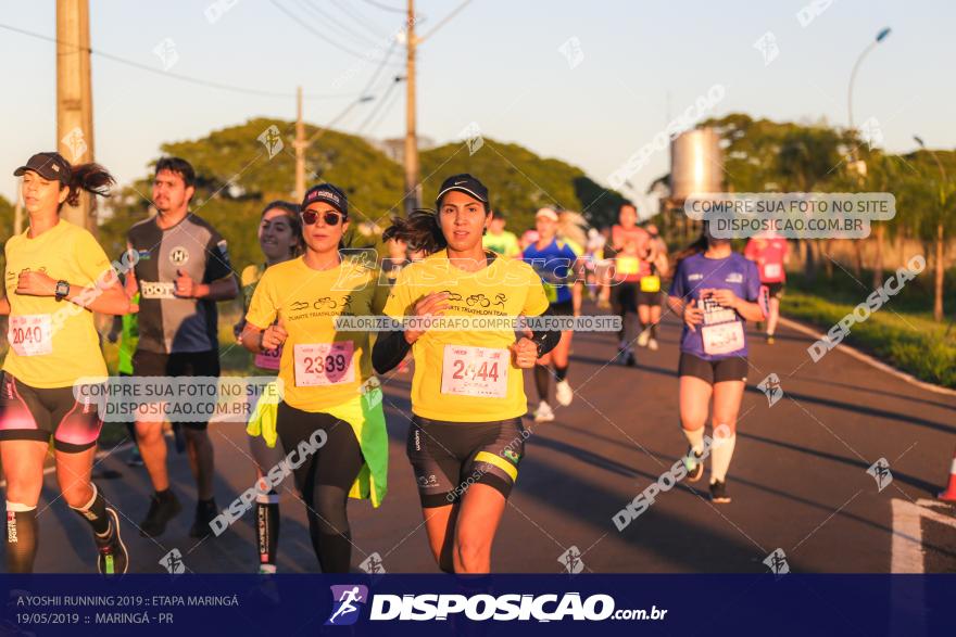 A Yoshii Running 2019 :: Etapa Maringá