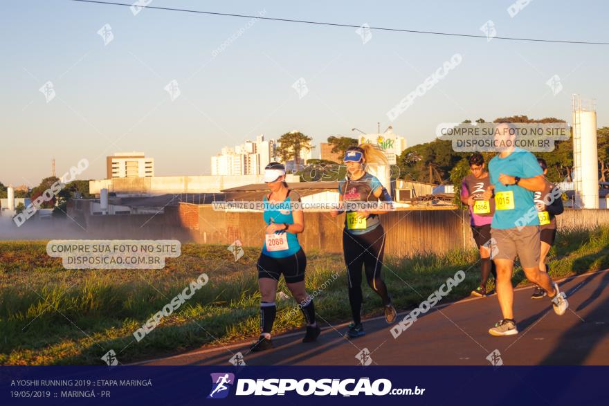 A Yoshii Running 2019 :: Etapa Maringá