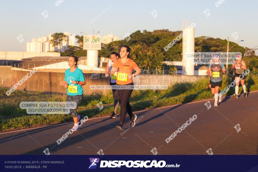 A Yoshii Running 2019 :: Etapa Maringá