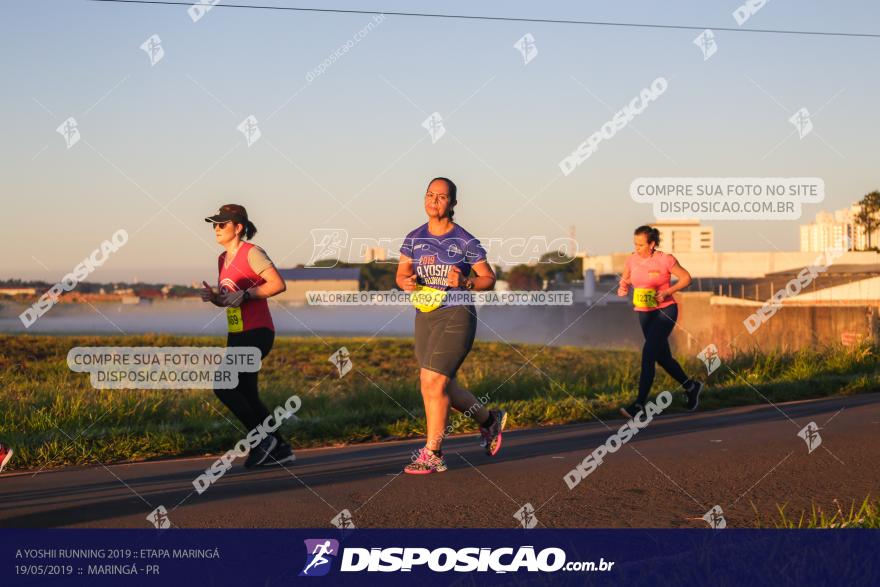 A Yoshii Running 2019 :: Etapa Maringá