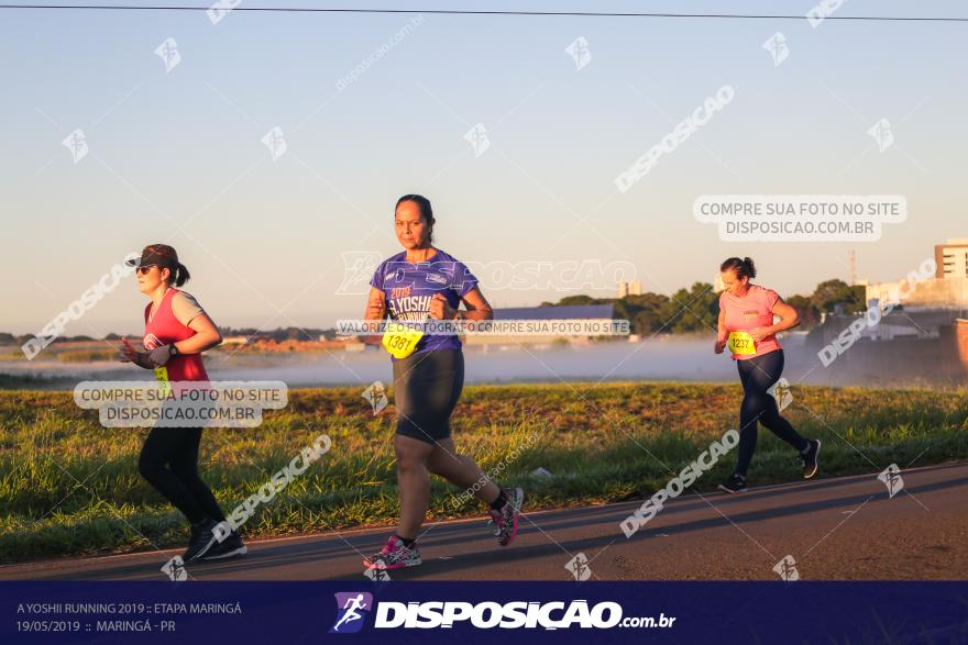 A Yoshii Running 2019 :: Etapa Maringá