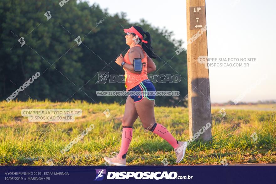 A Yoshii Running 2019 :: Etapa Maringá