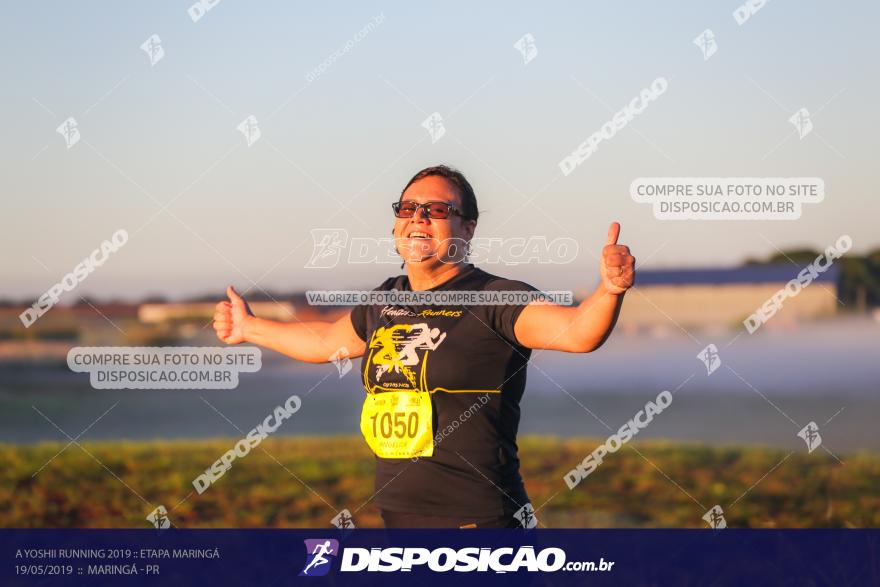 A Yoshii Running 2019 :: Etapa Maringá