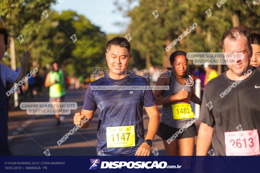 A Yoshii Running 2019 :: Etapa Maringá