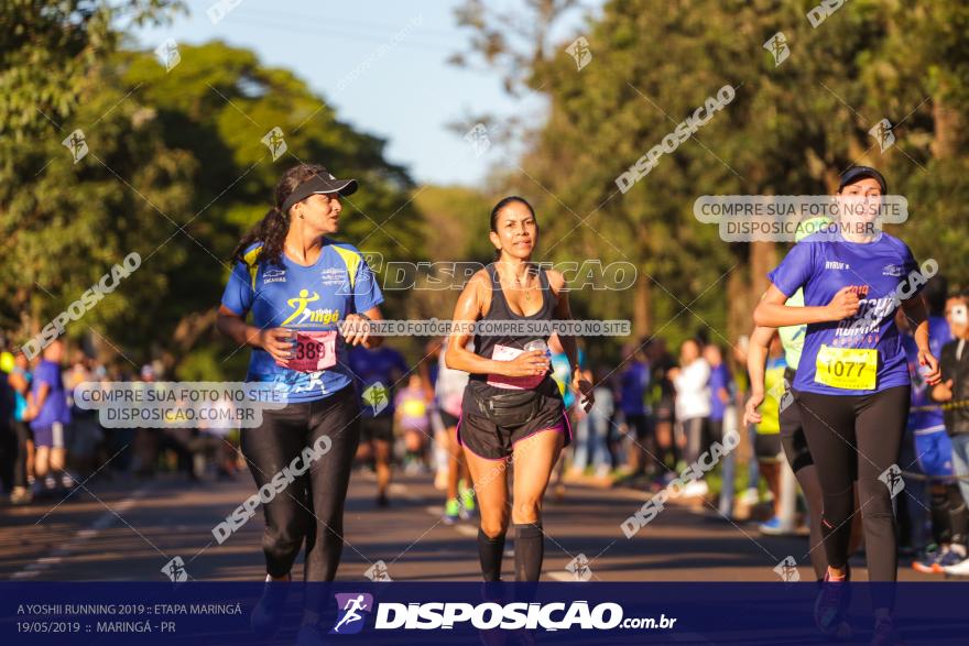 A Yoshii Running 2019 :: Etapa Maringá