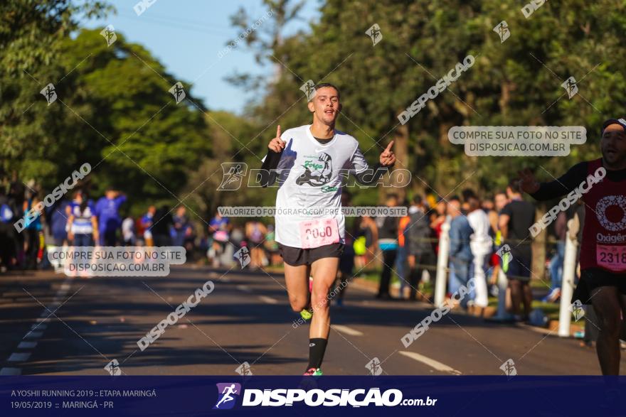 A Yoshii Running 2019 :: Etapa Maringá