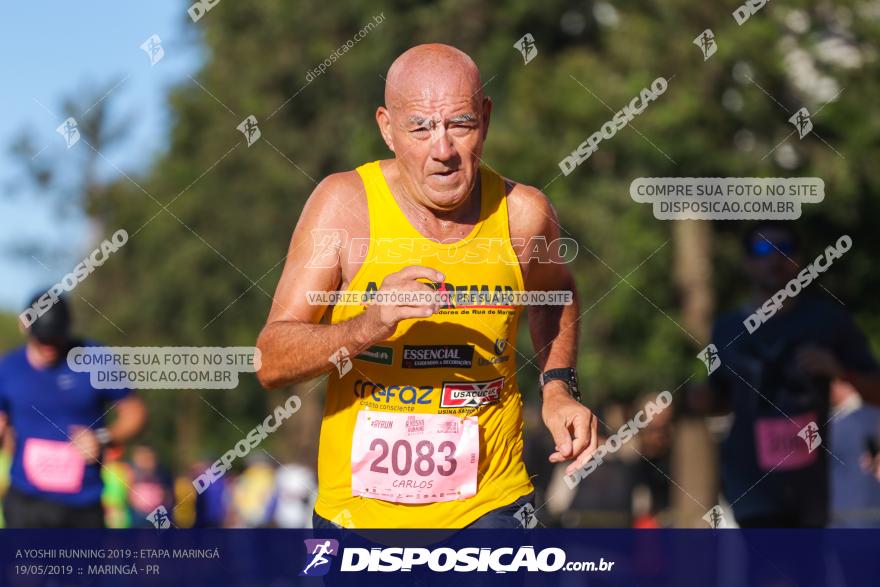 A Yoshii Running 2019 :: Etapa Maringá