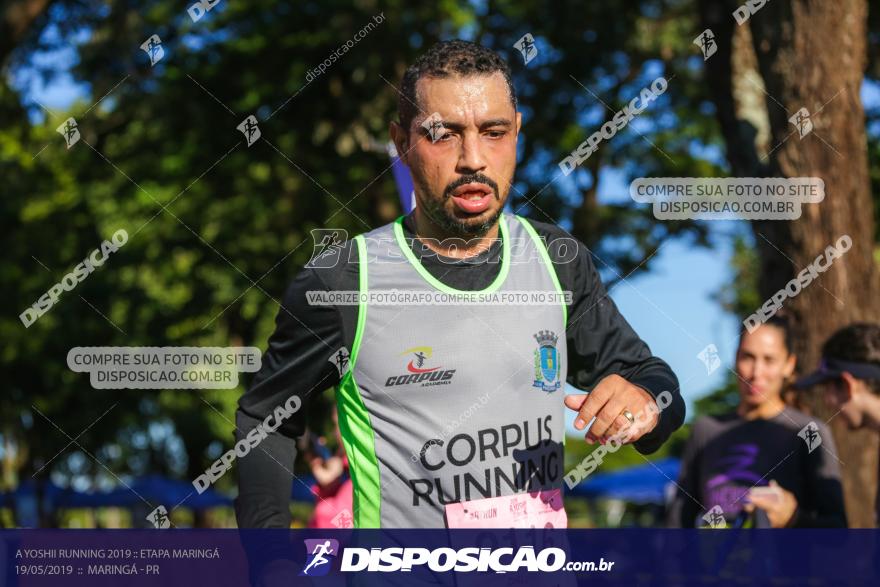 A Yoshii Running 2019 :: Etapa Maringá