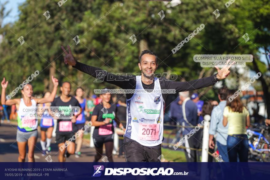 A Yoshii Running 2019 :: Etapa Maringá