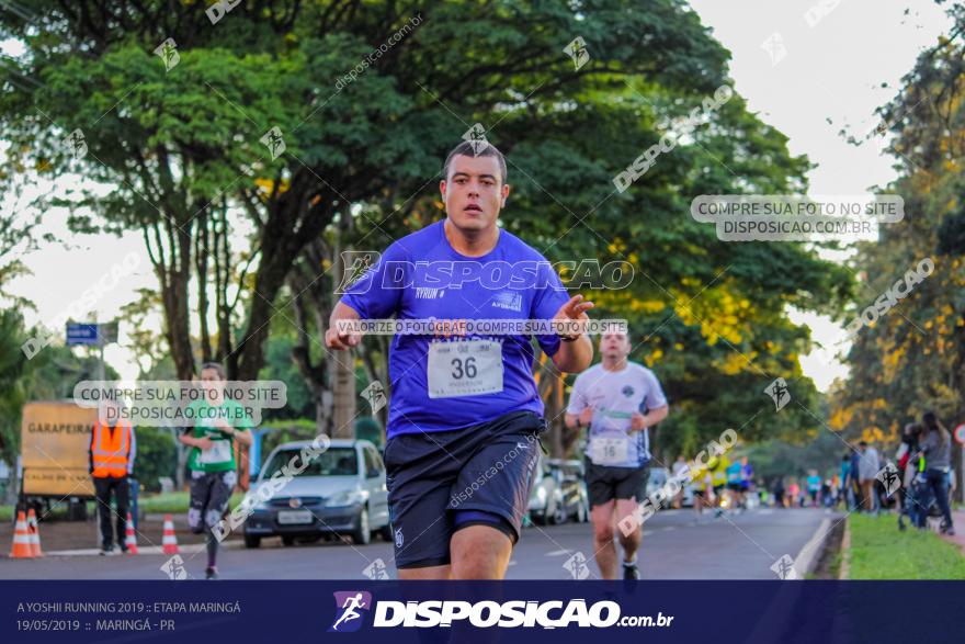 A Yoshii Running 2019 :: Etapa Maringá