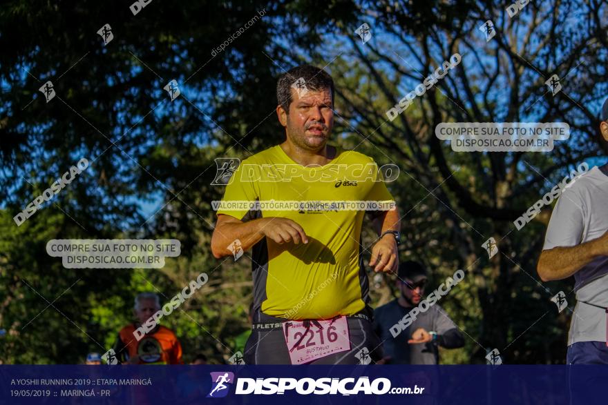 A Yoshii Running 2019 :: Etapa Maringá