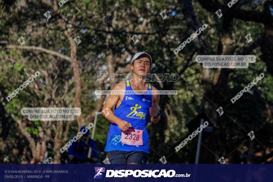 A Yoshii Running 2019 :: Etapa Maringá