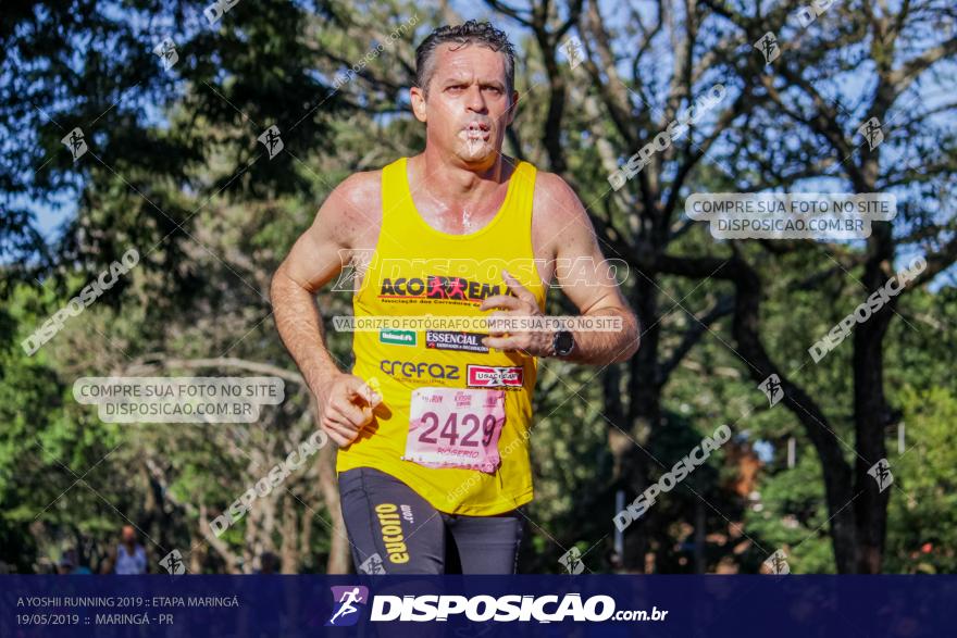 A Yoshii Running 2019 :: Etapa Maringá