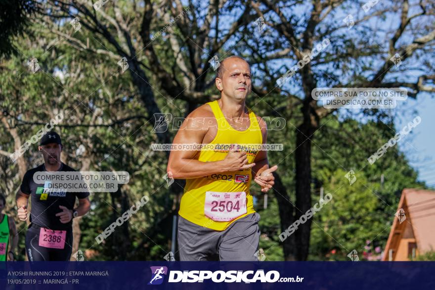 A Yoshii Running 2019 :: Etapa Maringá