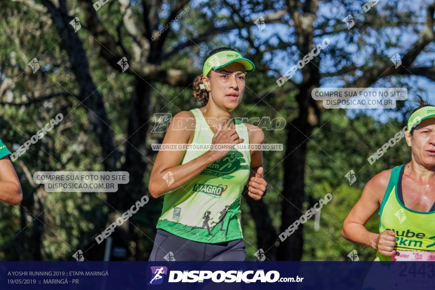 A Yoshii Running 2019 :: Etapa Maringá