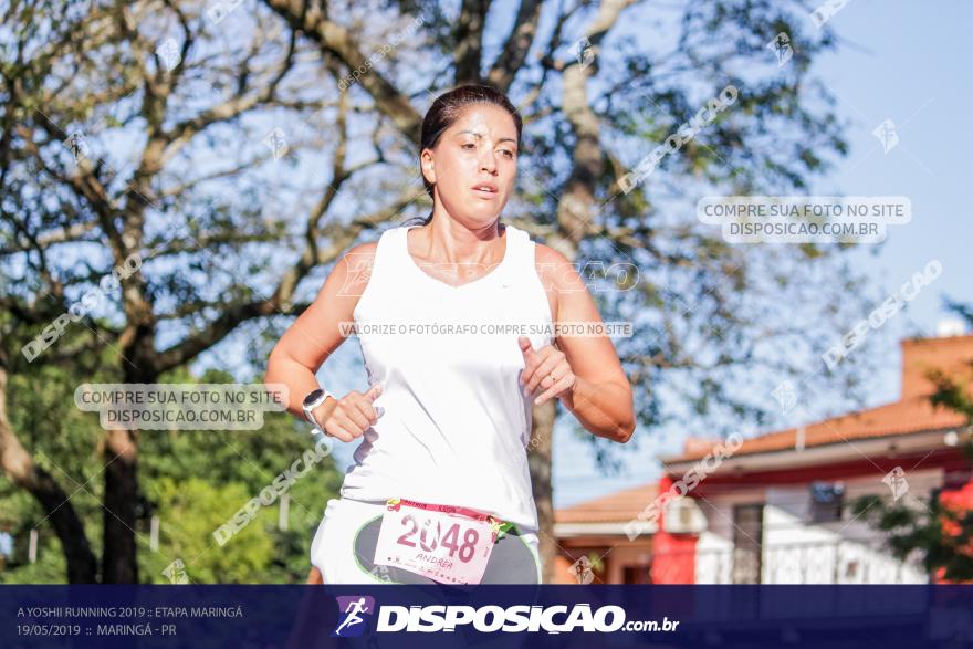 A Yoshii Running 2019 :: Etapa Maringá