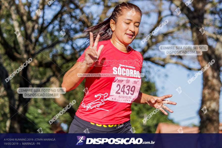 A Yoshii Running 2019 :: Etapa Maringá