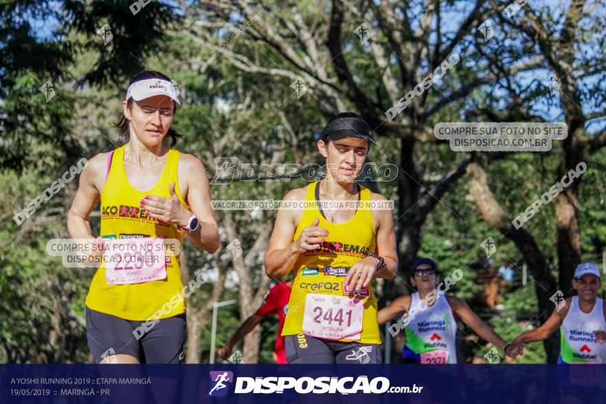 A Yoshii Running 2019 :: Etapa Maringá