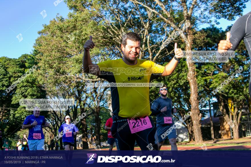 A Yoshii Running 2019 :: Etapa Maringá