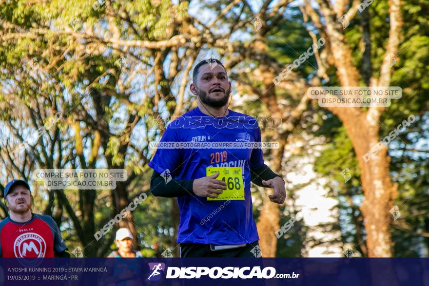 A Yoshii Running 2019 :: Etapa Maringá