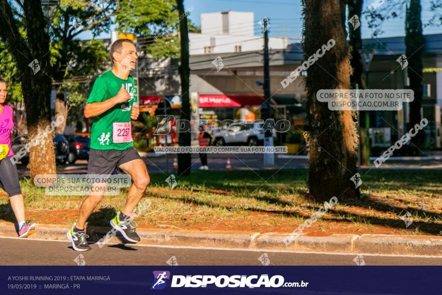 A Yoshii Running 2019 :: Etapa Maringá