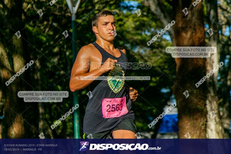 A Yoshii Running 2019 :: Etapa Maringá