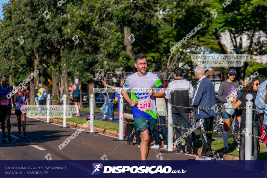 A Yoshii Running 2019 :: Etapa Maringá