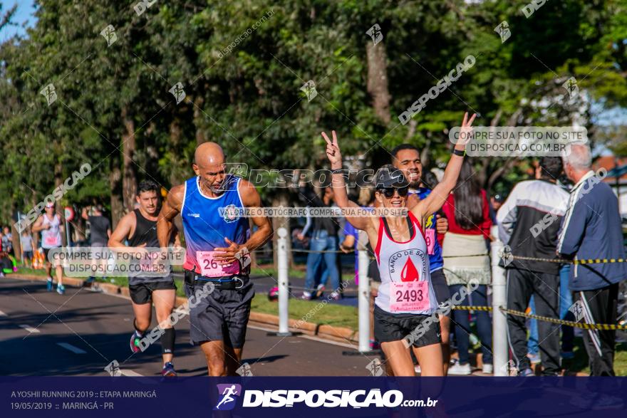 A Yoshii Running 2019 :: Etapa Maringá