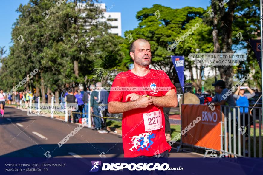 A Yoshii Running 2019 :: Etapa Maringá