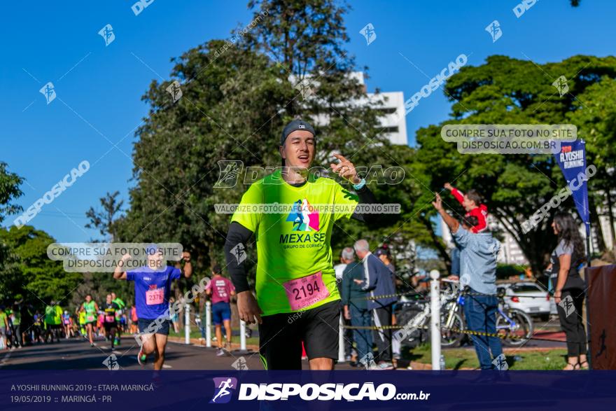 A Yoshii Running 2019 :: Etapa Maringá