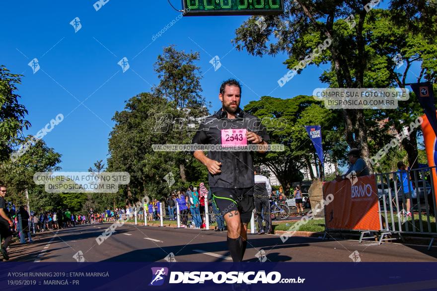 A Yoshii Running 2019 :: Etapa Maringá