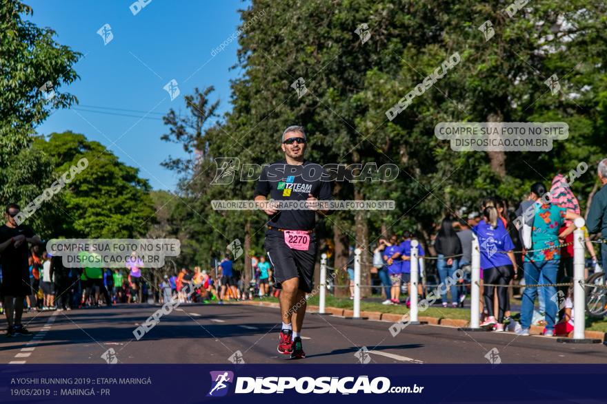 A Yoshii Running 2019 :: Etapa Maringá