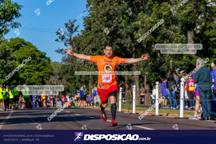 A Yoshii Running 2019 :: Etapa Maringá