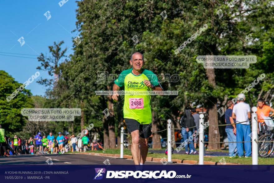 A Yoshii Running 2019 :: Etapa Maringá