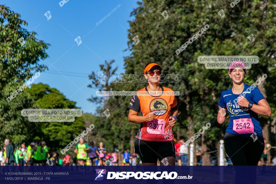 A Yoshii Running 2019 :: Etapa Maringá