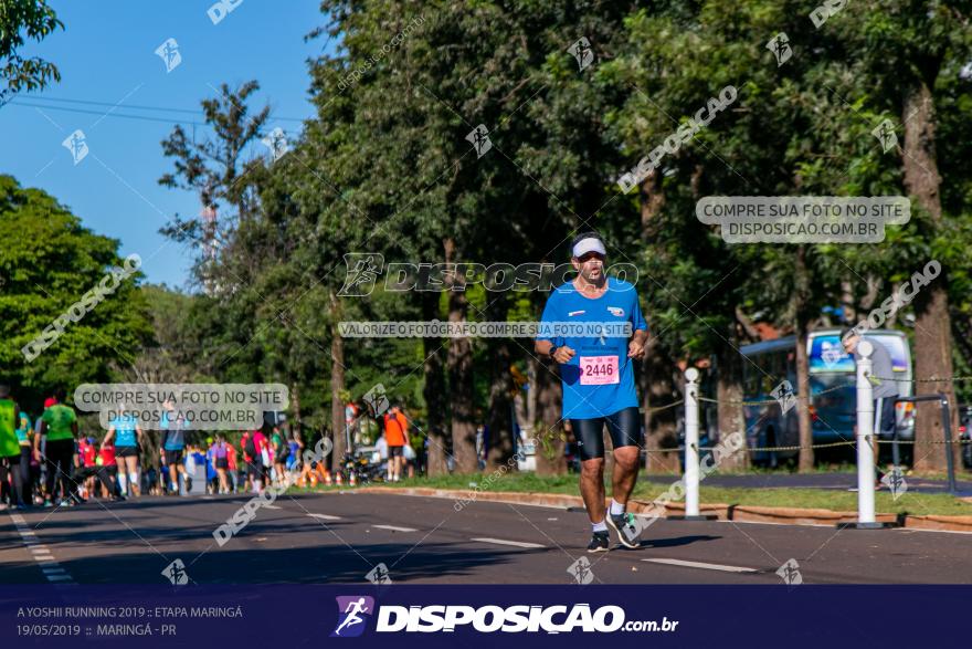 A Yoshii Running 2019 :: Etapa Maringá