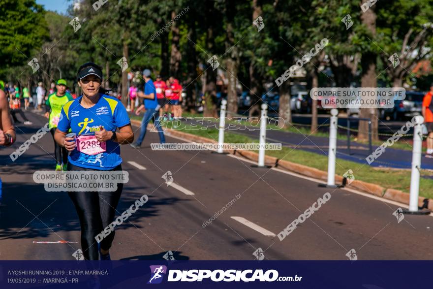 A Yoshii Running 2019 :: Etapa Maringá