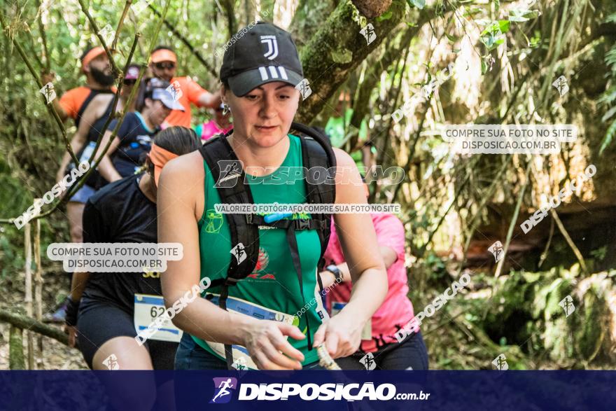 Naventura Canion Guartela 2019