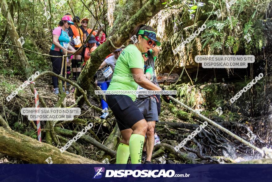 Naventura Canion Guartela 2019