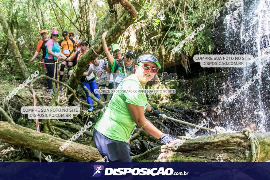 Naventura Canion Guartela 2019