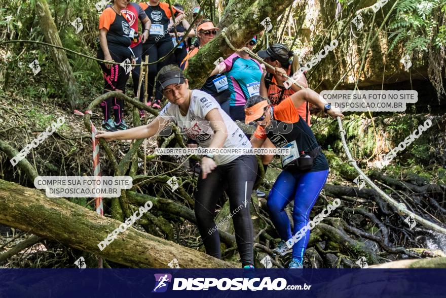 Naventura Canion Guartela 2019