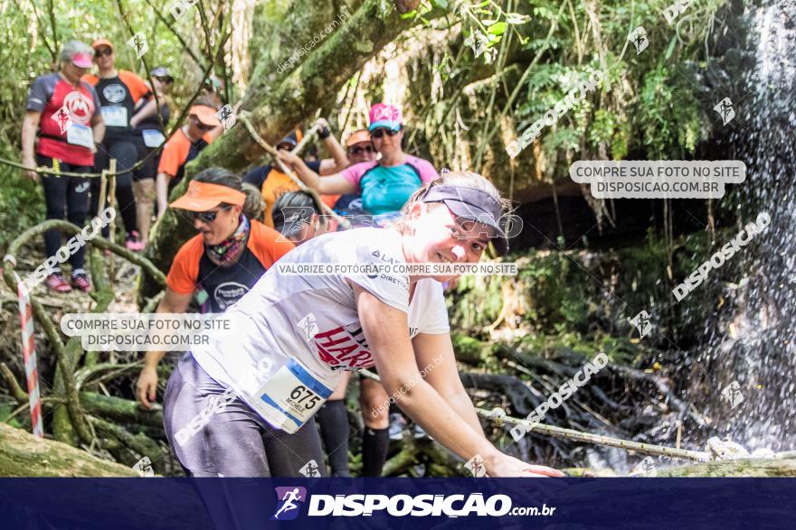 Naventura Canion Guartela 2019