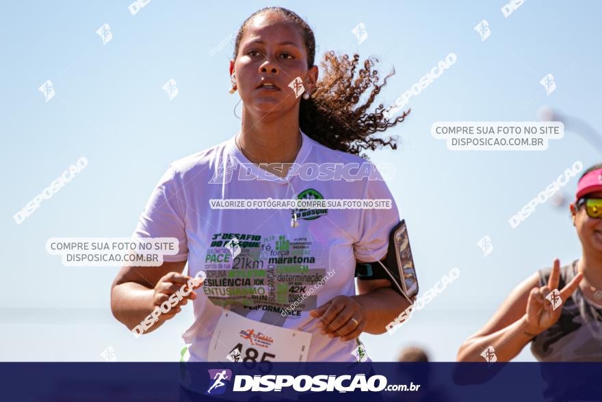 3ª Corrida 12 de Outubro