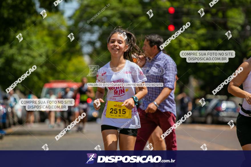 3ª Corrida 12 de Outubro