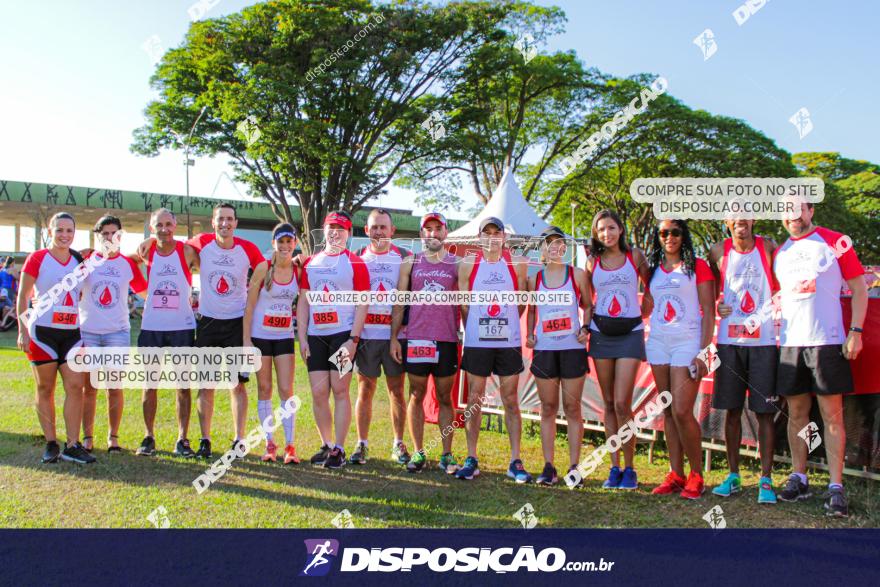 SANTANDER TRACK&FIELD RUN SERIES Maringá