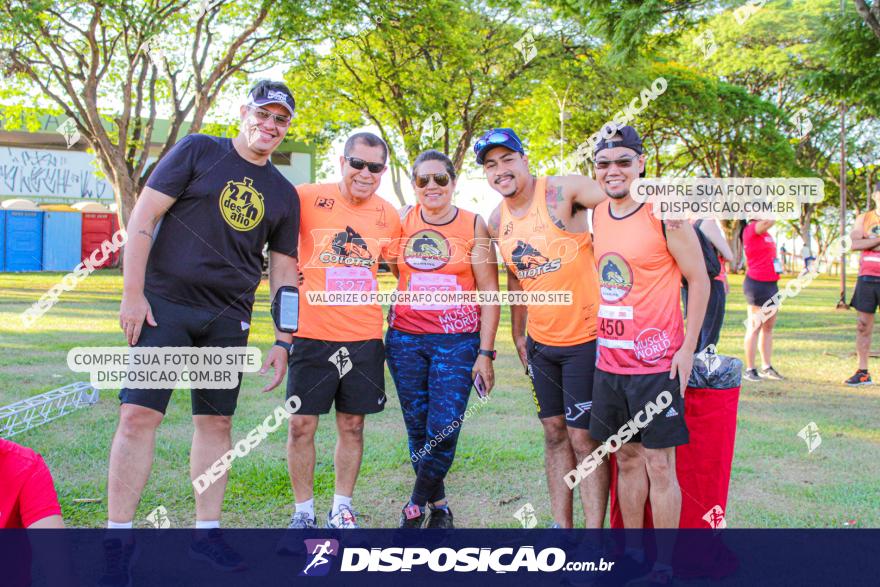 SANTANDER TRACK&FIELD RUN SERIES Maringá