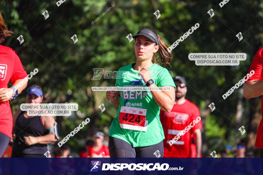 SANTANDER TRACK&FIELD RUN SERIES Maringá