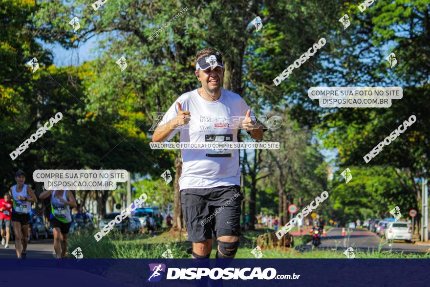 SANTANDER TRACK&FIELD RUN SERIES Maringá