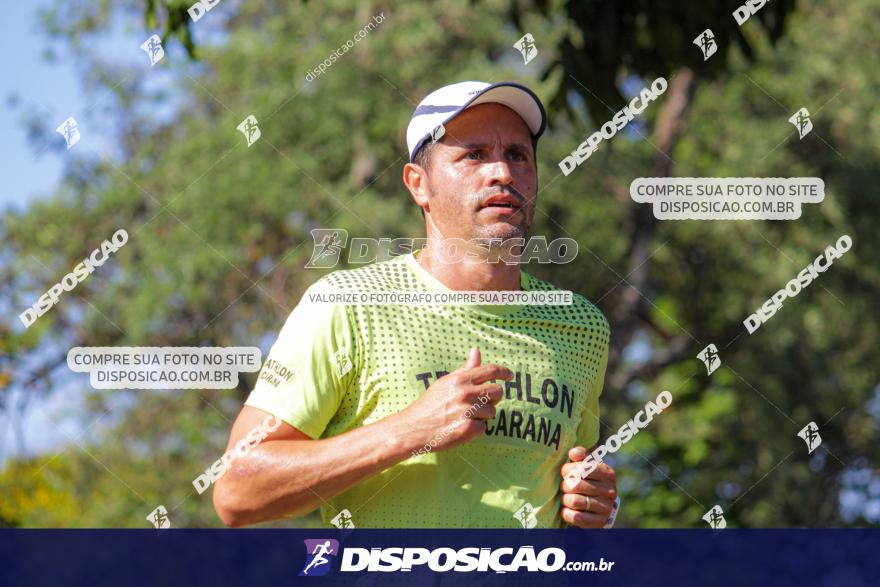 SANTANDER TRACK&FIELD RUN SERIES Maringá