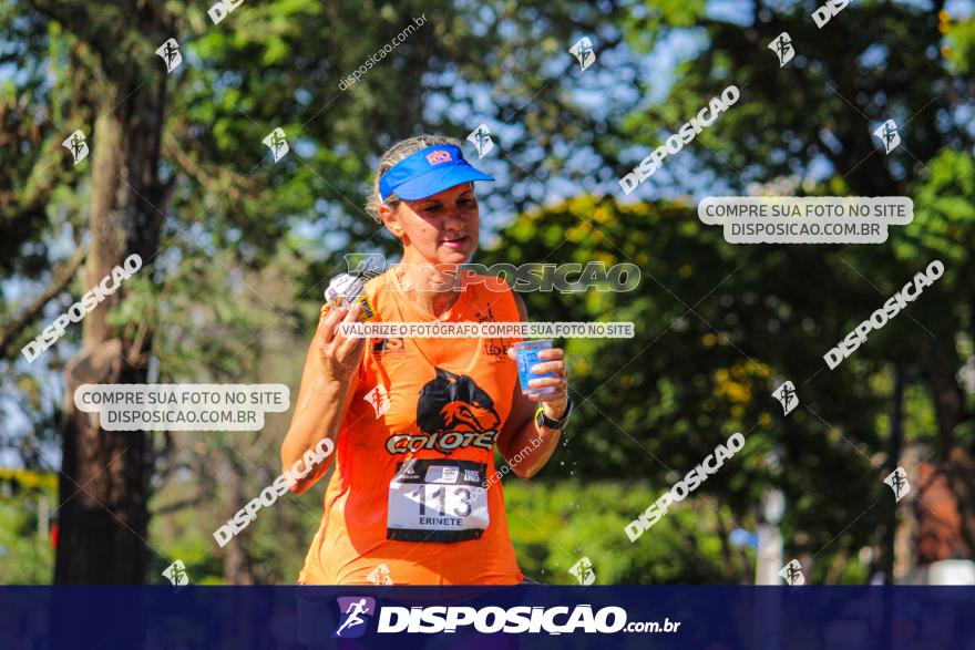 SANTANDER TRACK&FIELD RUN SERIES Maringá